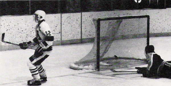011186feirngoal.jpg (55121 bytes)