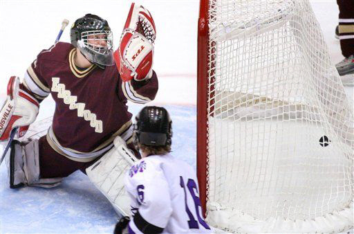 030108falchgoal.jpg (41056 bytes)