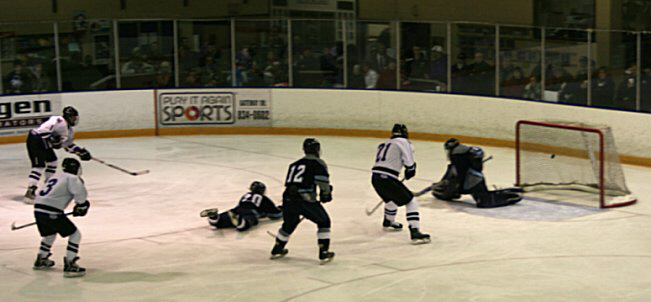 1226081stgoal.jpg (38625 bytes)