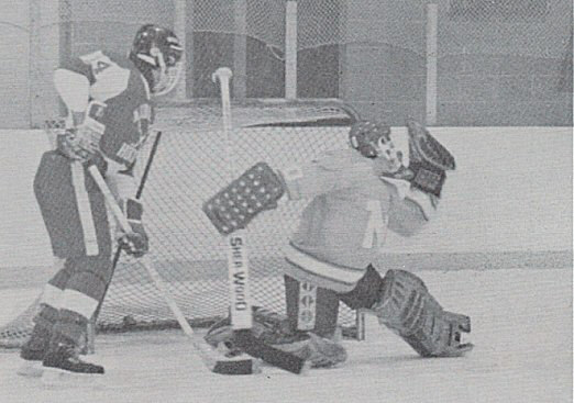 rowansave91.jpg (45085 bytes)