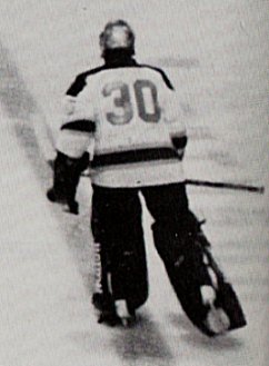 wrightskate.jpg (16726 bytes)